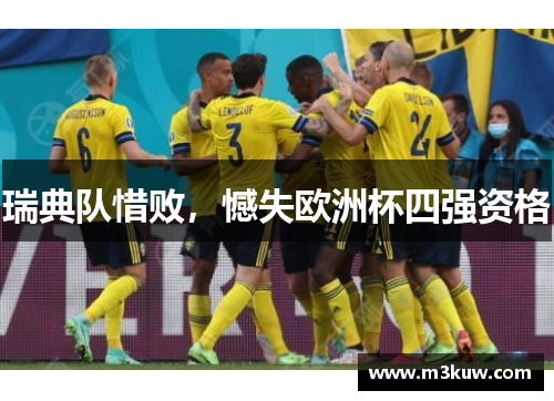 瑞典队惜败，憾失欧洲杯四强资格